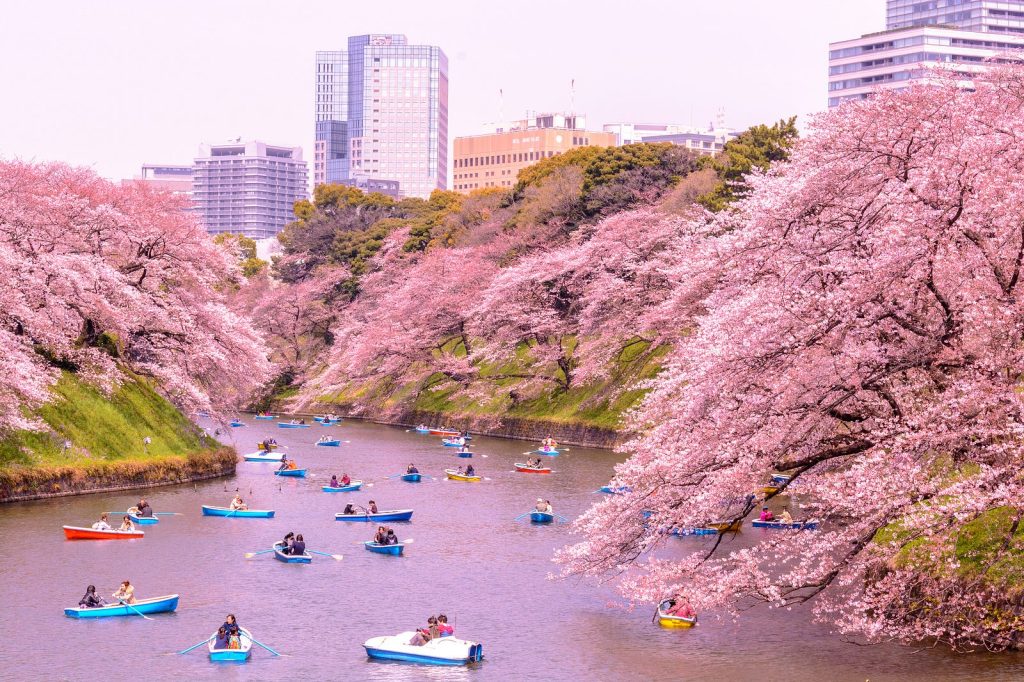 How to Make Your First Japan Trip Better From the Start